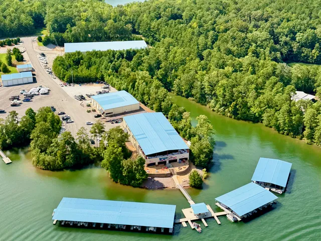 Wedowee Marine South Aerial